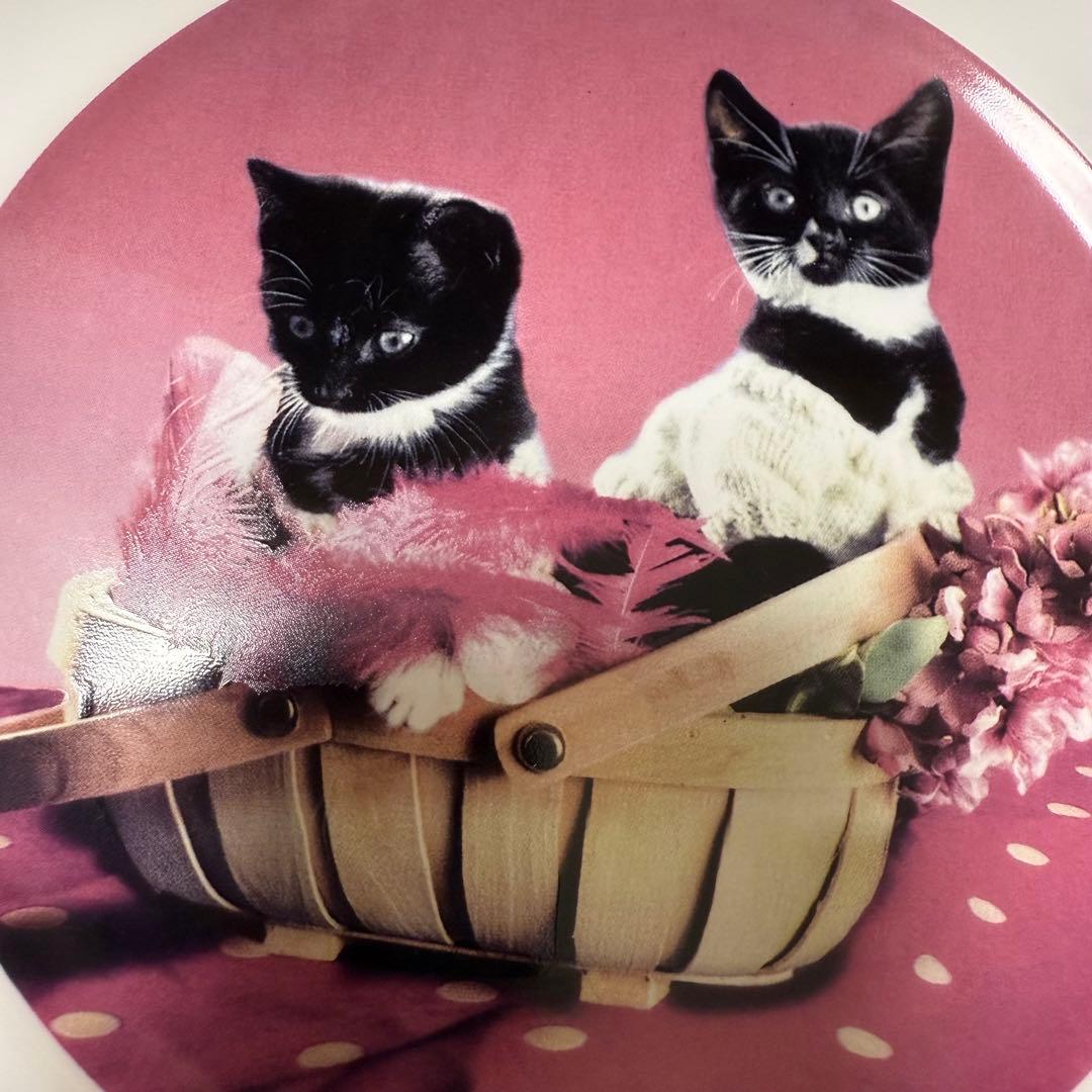 絶版 スタジオツアーロンドン初期限定 アンブリッジ陶器製猫お皿 レプリカ実寸大