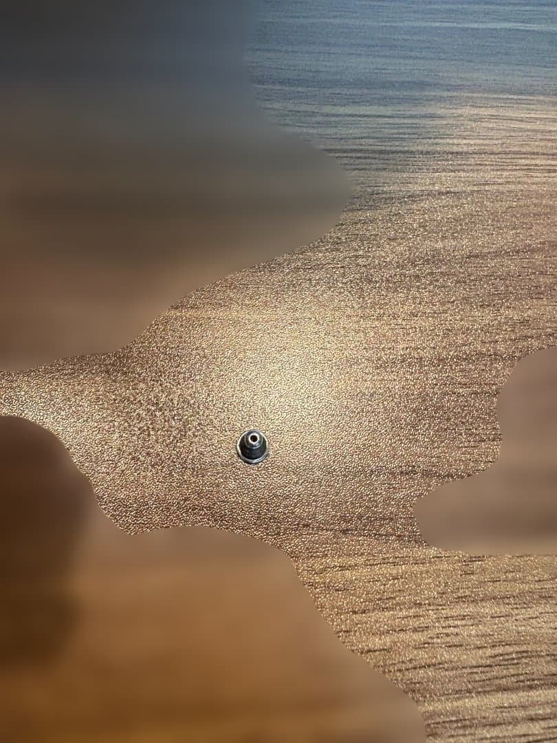 ジャスティンデイビス　ライオンキーパーピアス