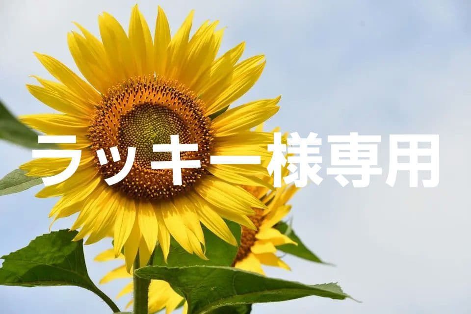 ラッキー２【ハイパーマスク】ムレ爽快アイスブルーふつう30枚入×24箱