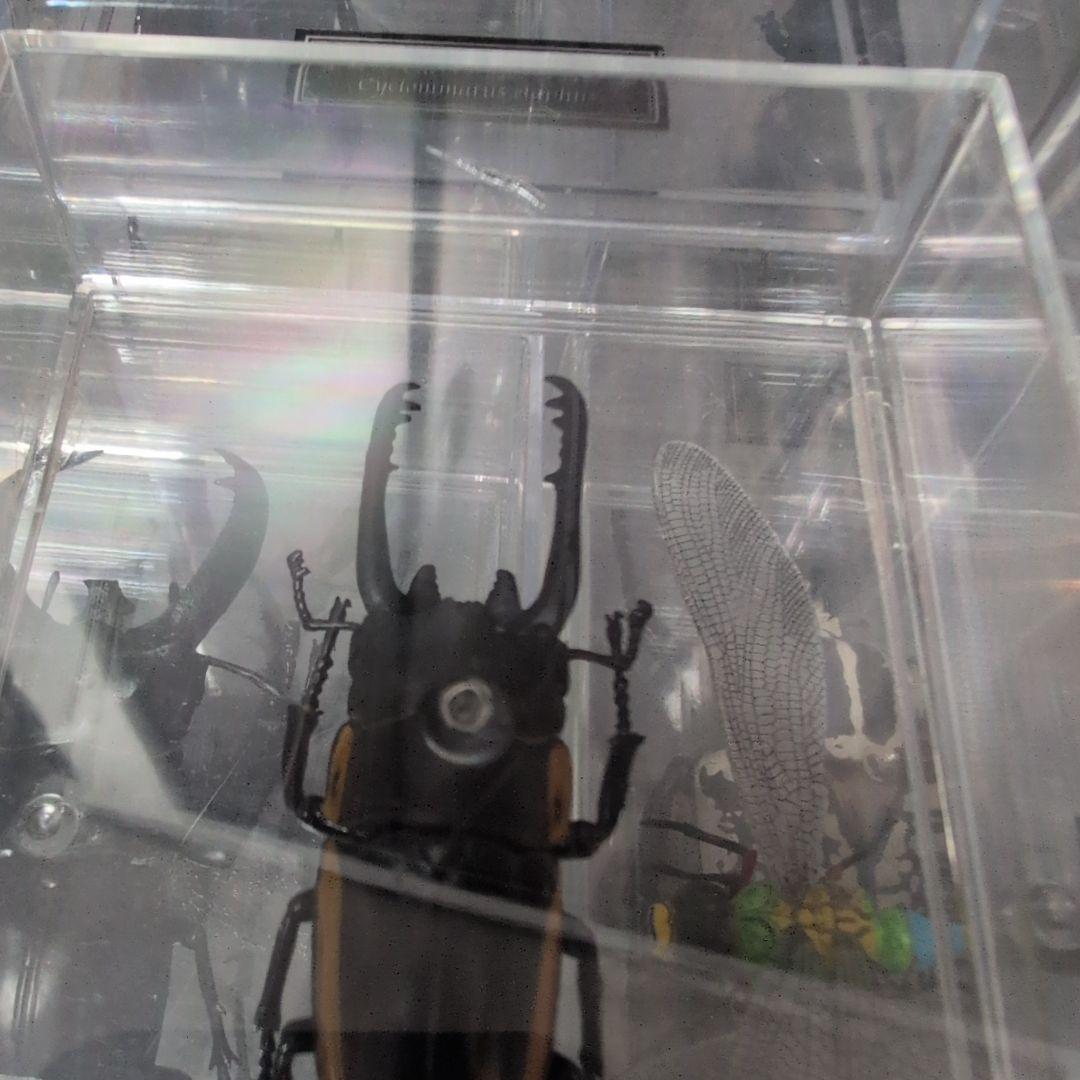 53体！！ディアゴスティーニ　世界の昆虫　データブック4冊