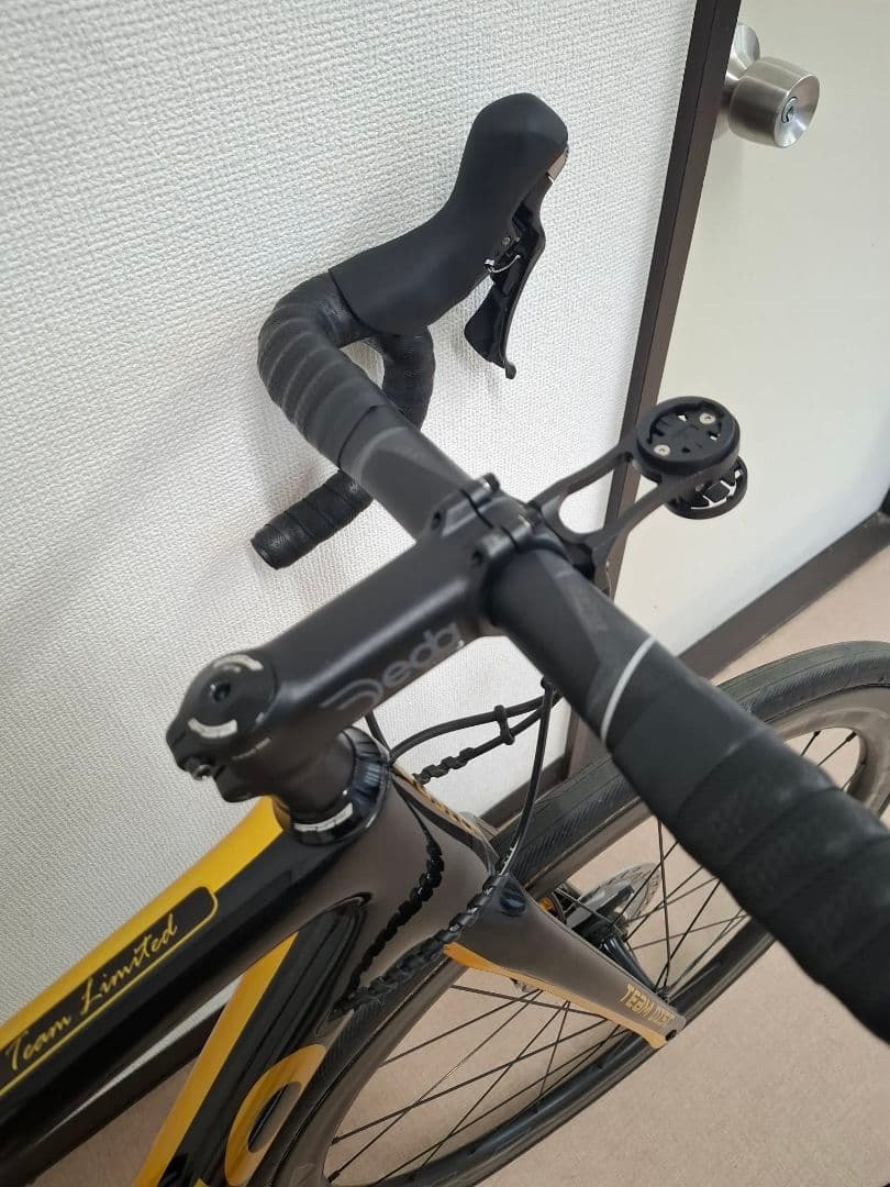 自転車本体 GUSTO Team Limited Disc 2020