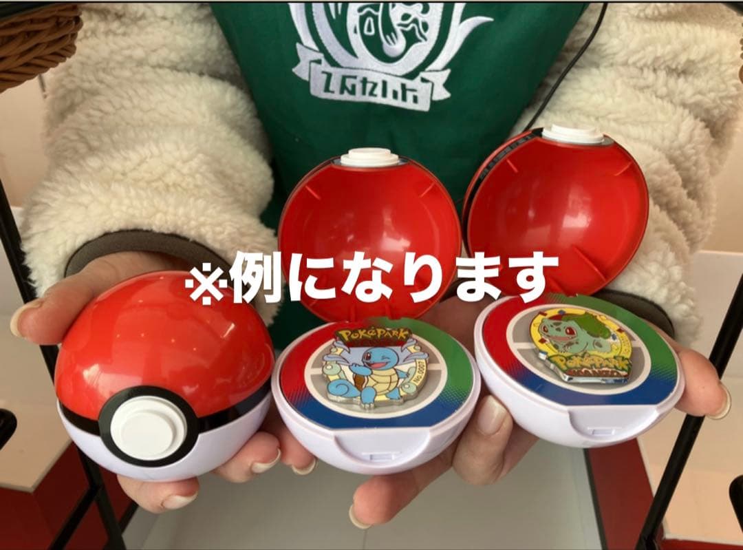 ポケパーク ピンバッジ 未開封10個 プレミアボール付き