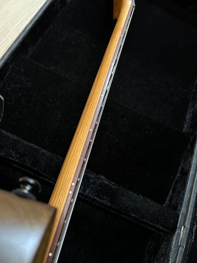 【本日まで値引】Ibanez / RGD7521PB-DSF 7弦ギター