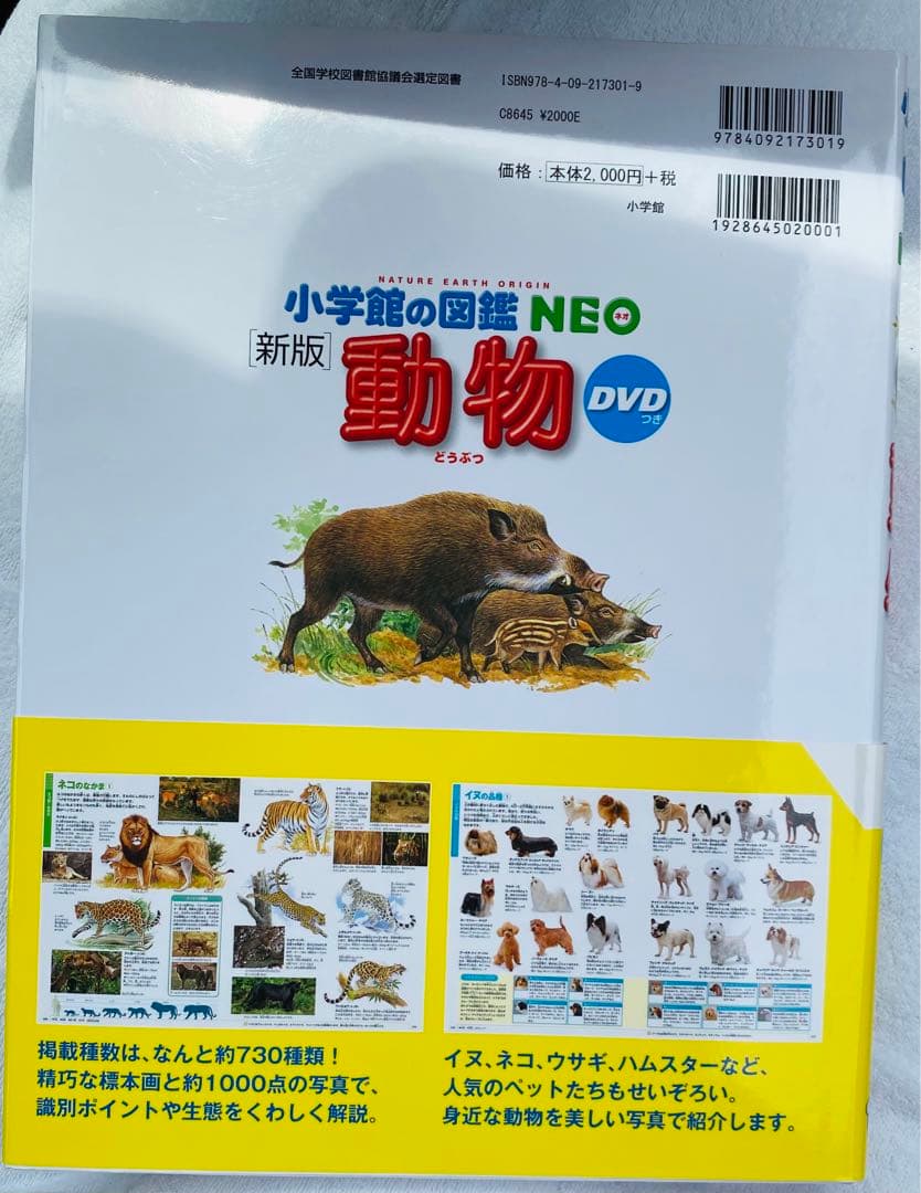 新版　小学館の図鑑NEO DVD付き 読み聞かせ366 10冊セット　ドラえもん