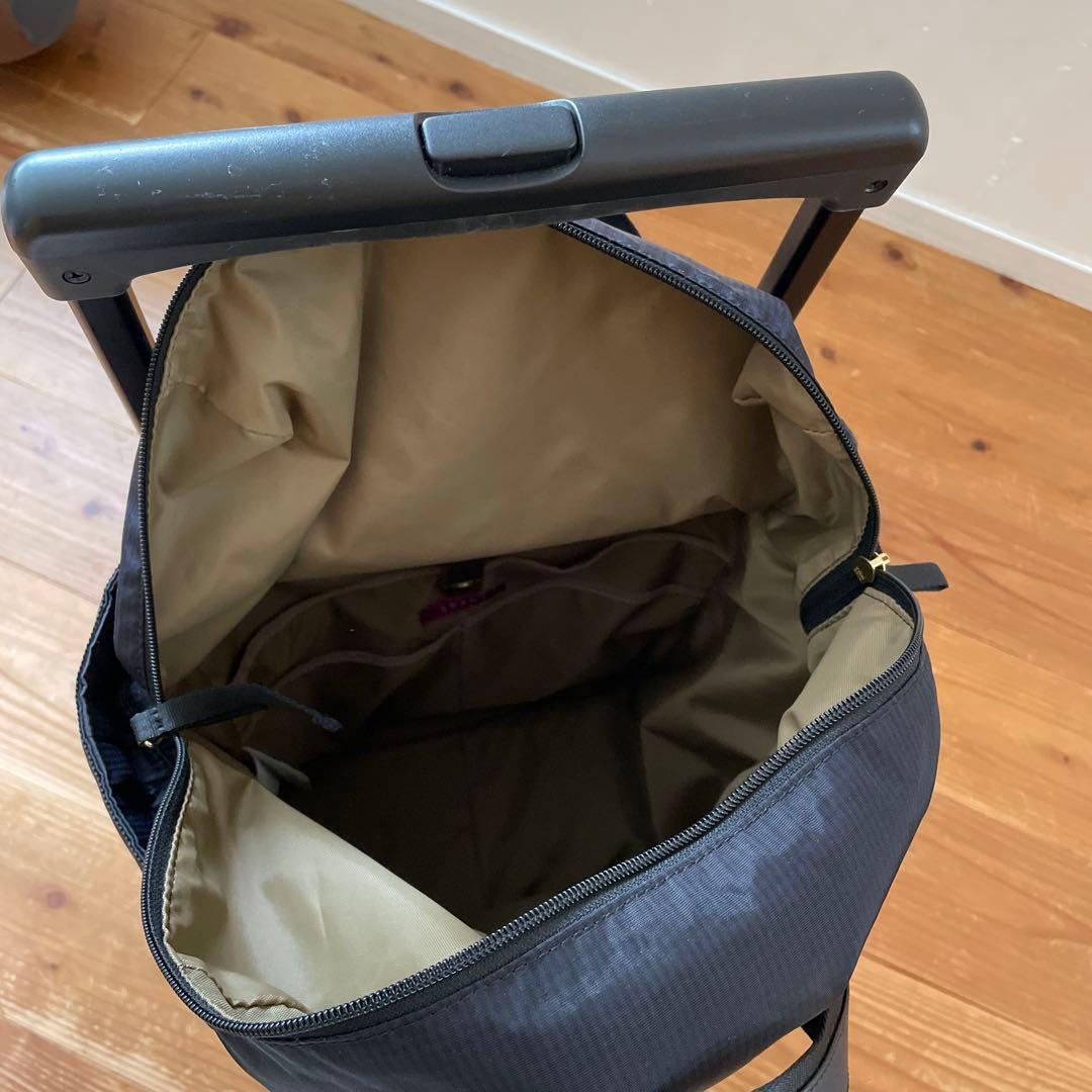 スワニー　キャリーバッグ　21L