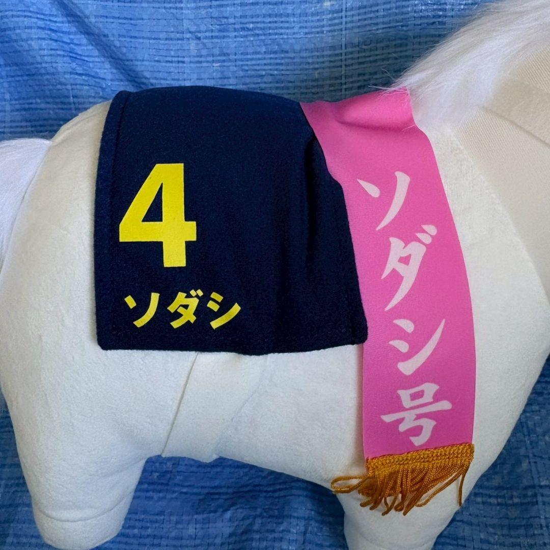 サラブレッドコレクション ソダシ