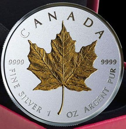 タ*2様 ☆2019年カナダ▪ GML40周年記念限定ゴールドメイプルリーフ20