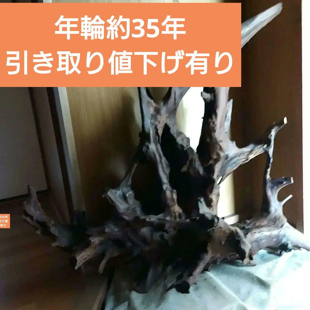 置物【天然木】切り株大型　インテリア 毎日曜￥20000最終値下げ有