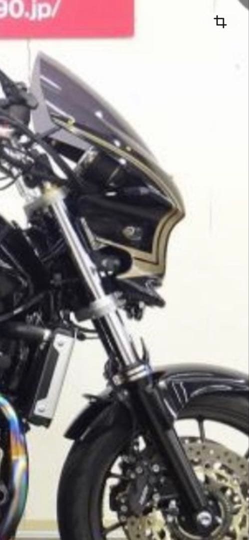 トータルクラフト ビキニカウルCB1300