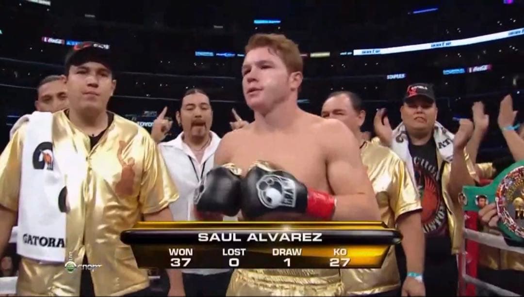 【本物】カネロ・アルバレス vs アルフォンソ・ゴメス 試合グローブ 写真あり