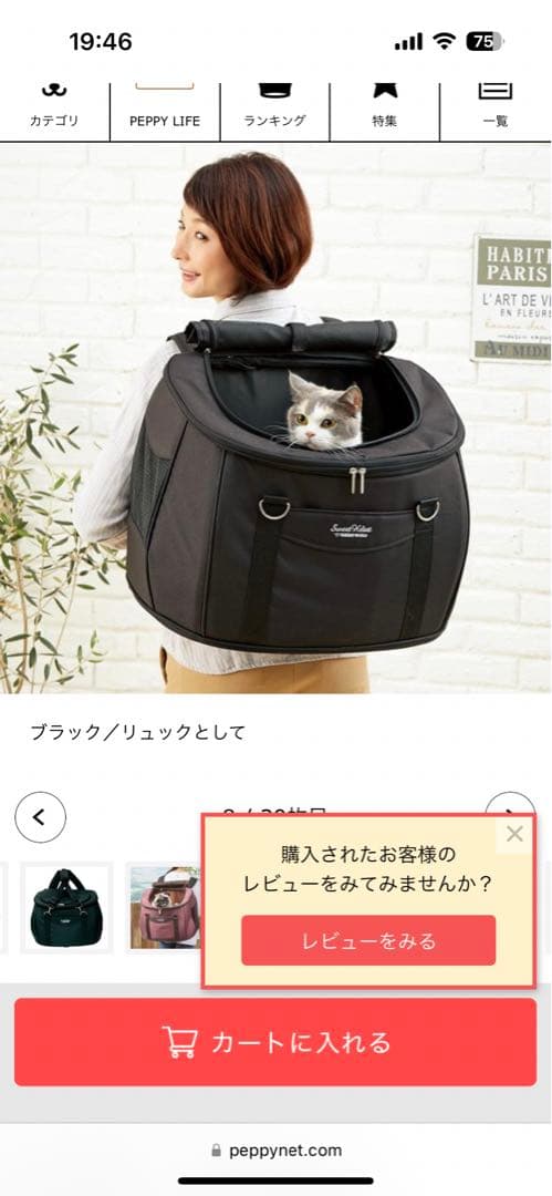 スイートハート　４ＷAY カート・キャスター付ペットキャリー