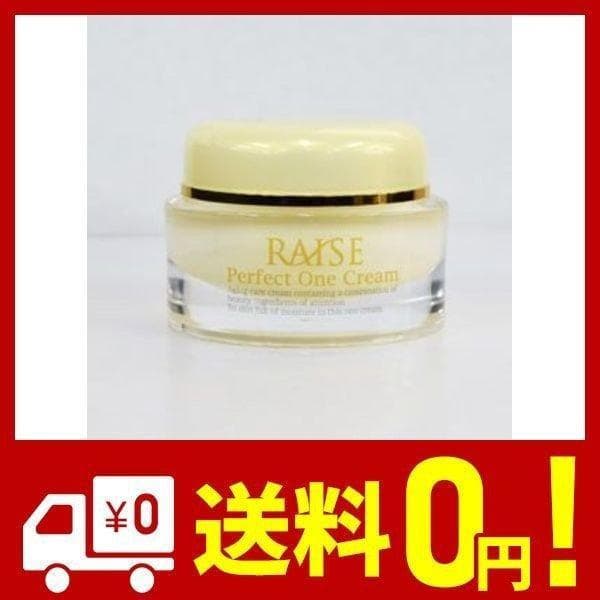 2個セットRAISE レイズ パーフェクトワンクリーム オールインワンｇ