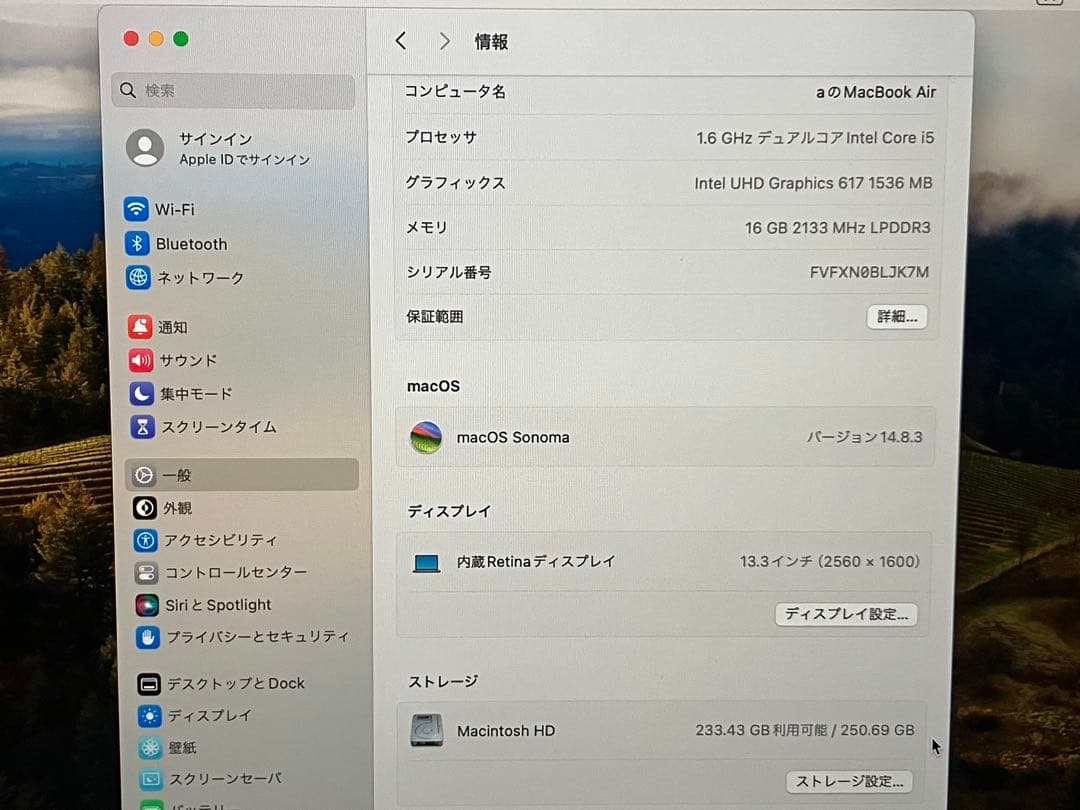 MacBook本体 MacBook Air 2018 16GB 256GB