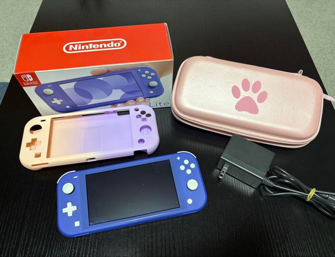 Nintendo Switch Lite ブルー　充電器ケース付