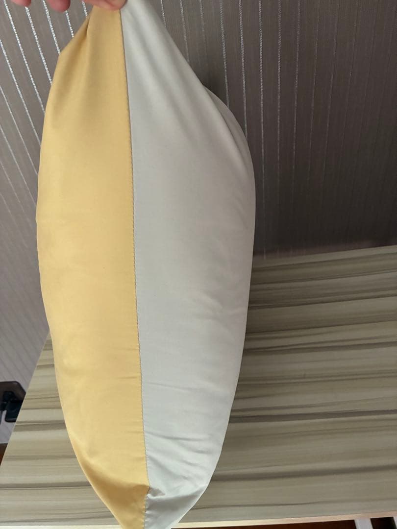 西川　ダウンシュラフ寝袋　羽毛布団150×200 エアピロー付き　未使用