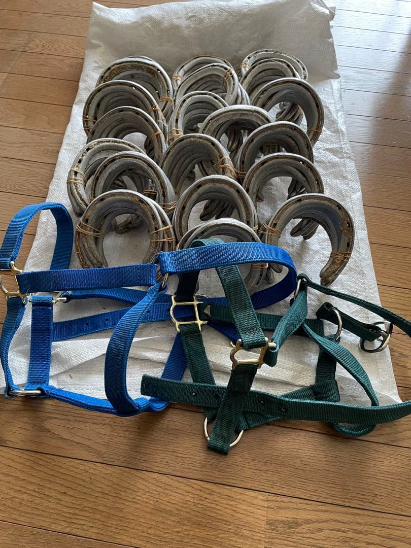 yoshiになりました他の方はご遠慮下さい 蹄鉄100個とおまけ無口2個