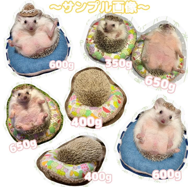 【ドーナツクッション】New生地、ハリネズミ柄