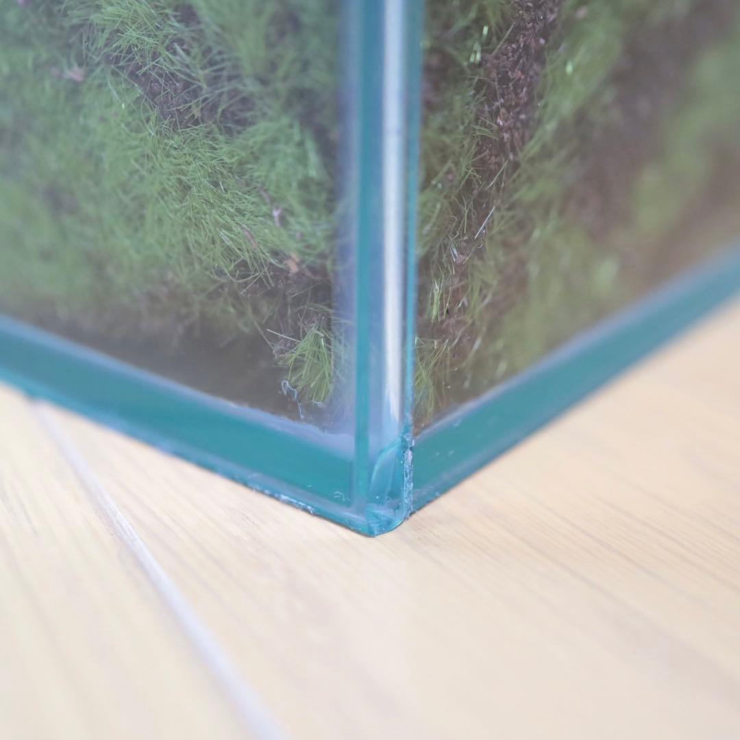 EMILIO ROBBA ギャザリング カラテア