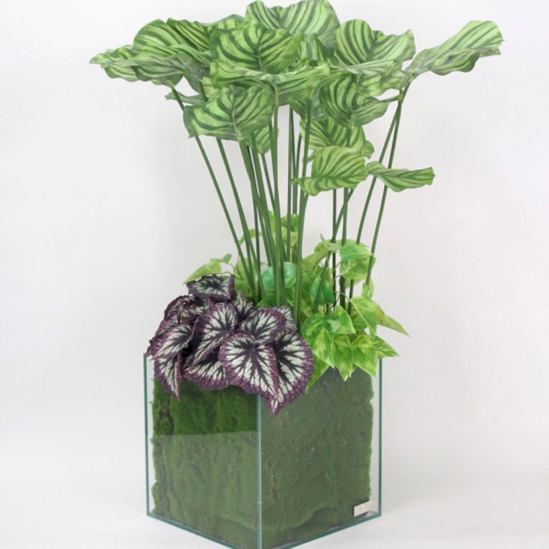 EMILIO ROBBA ギャザリング カラテア