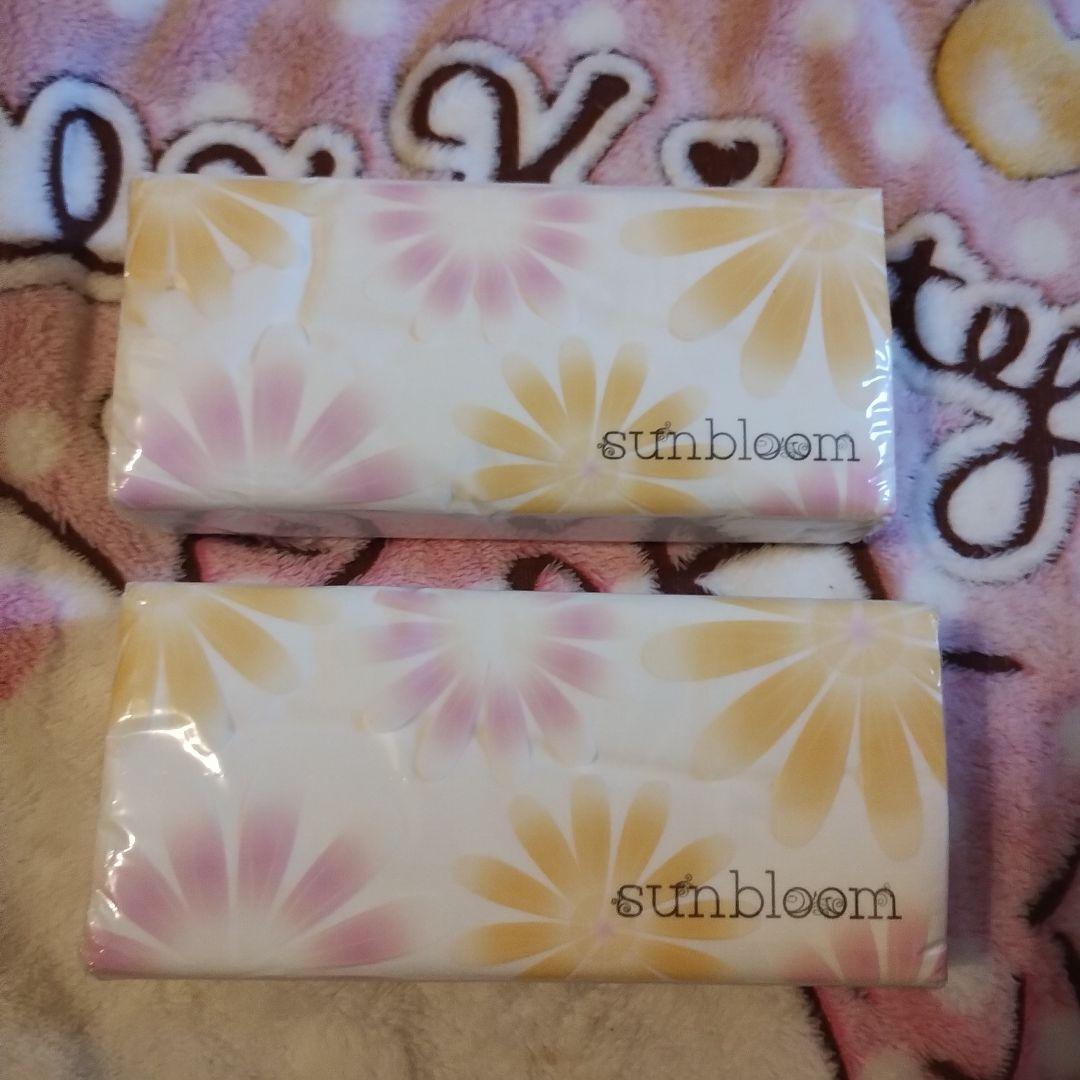 袋 ティッシュ２個