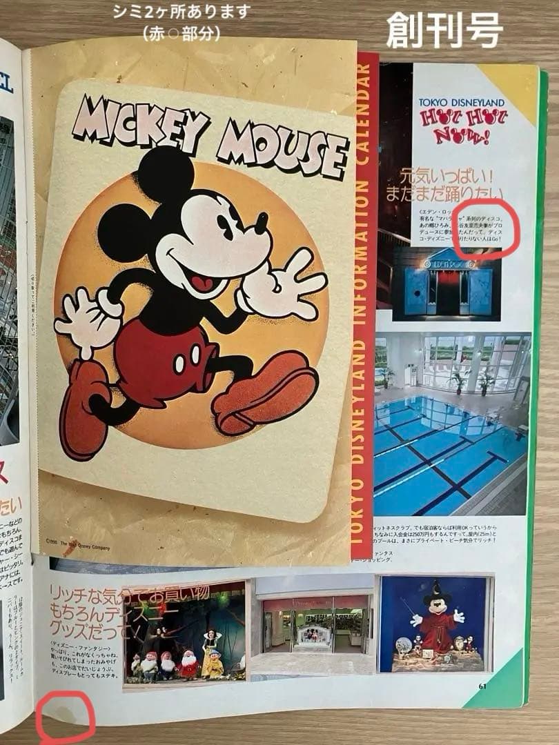ディズニーファン Disney Fan 創刊号〜30号（28号除）29冊まとめ売