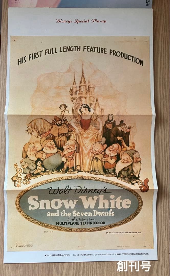 ディズニーファン Disney Fan 創刊号〜30号（28号除）29冊まとめ売