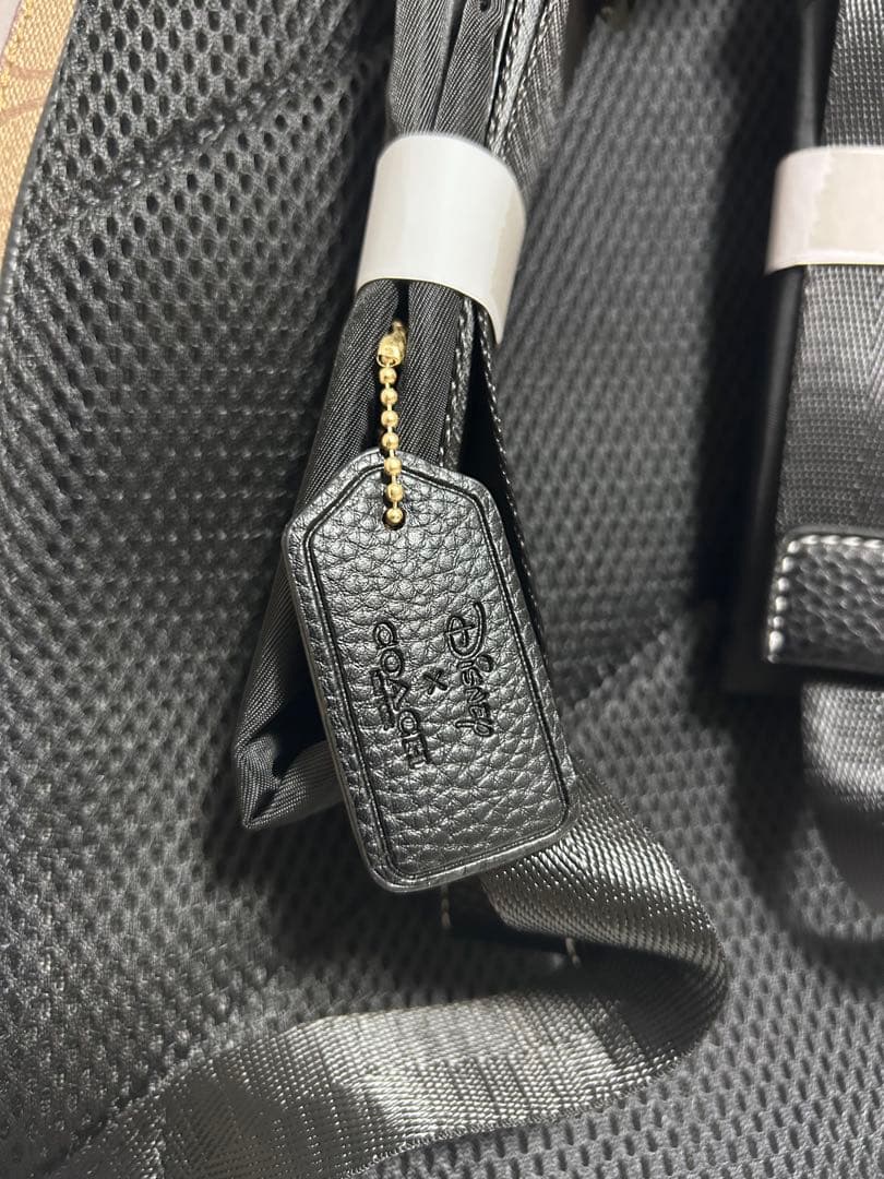 COACH ×ディズニーヴィランズ　バックパック