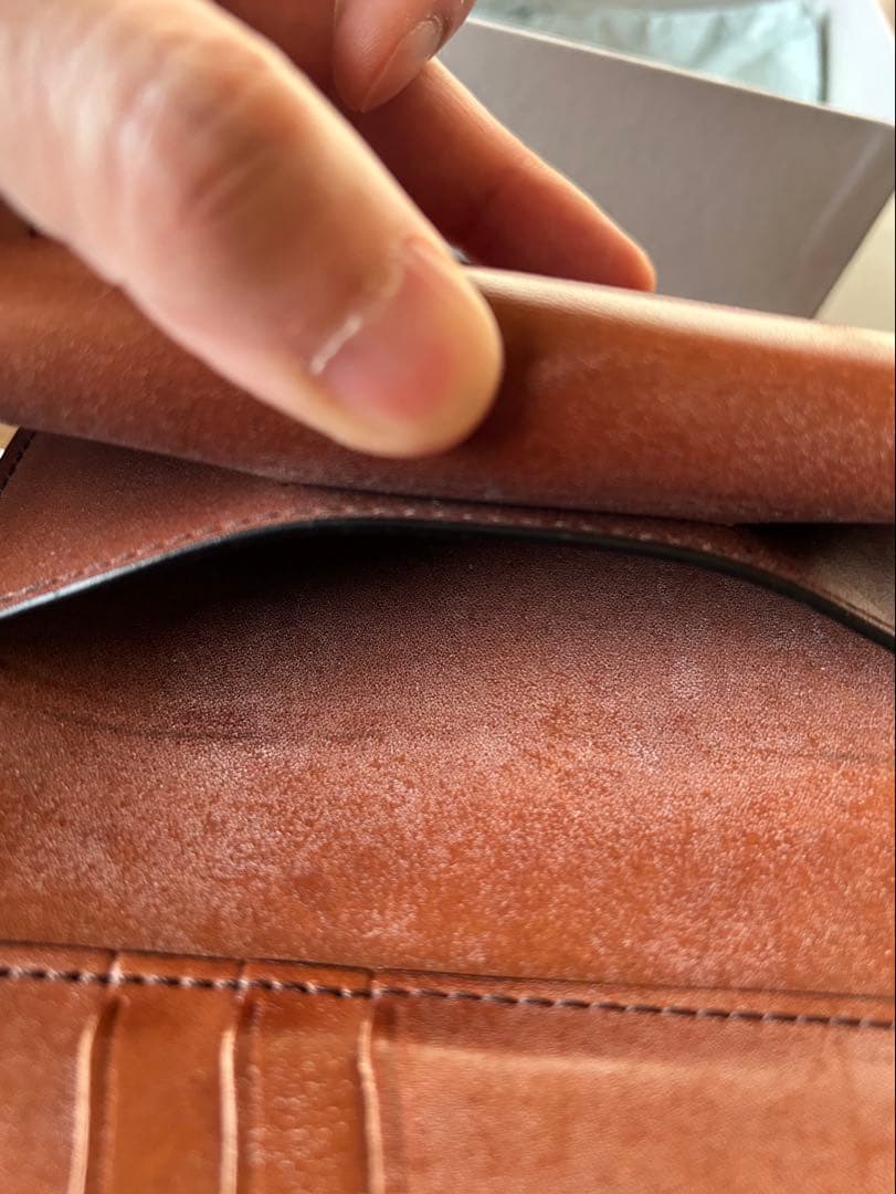 【1/10限定価格】ワイルドスワンズ　バーン