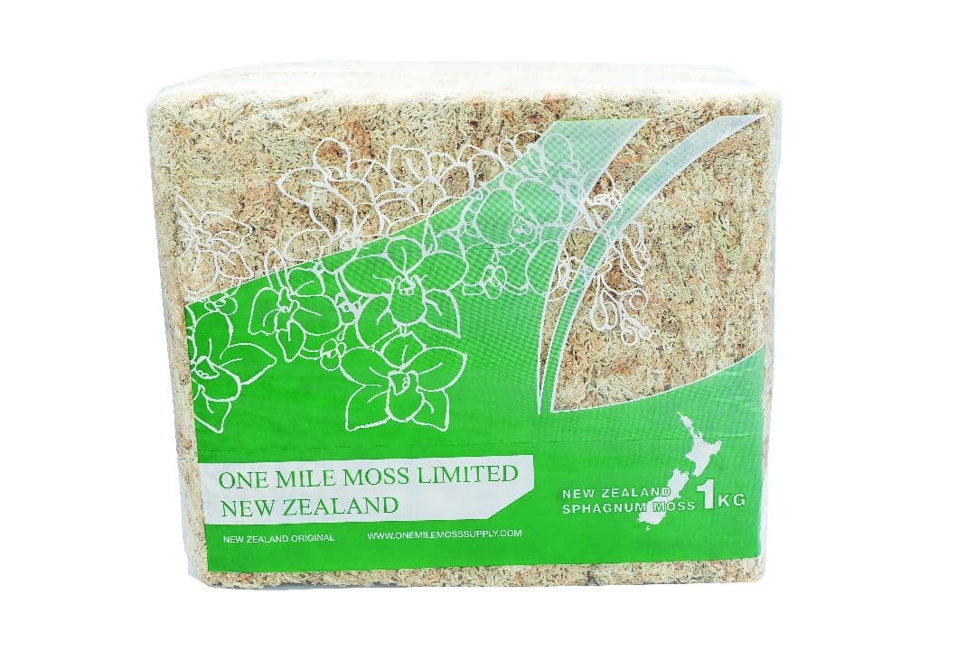 【バイオキミア】 ミズコケ 5A ニュージーランド産 1kg