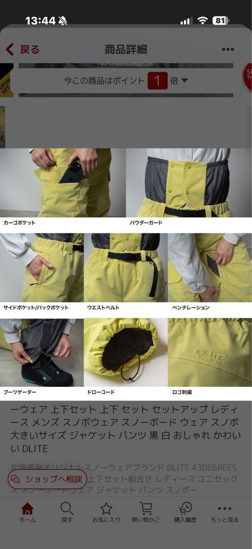 スノーボードウェア 上下セット レディース メンズ スノボウェア DLITE