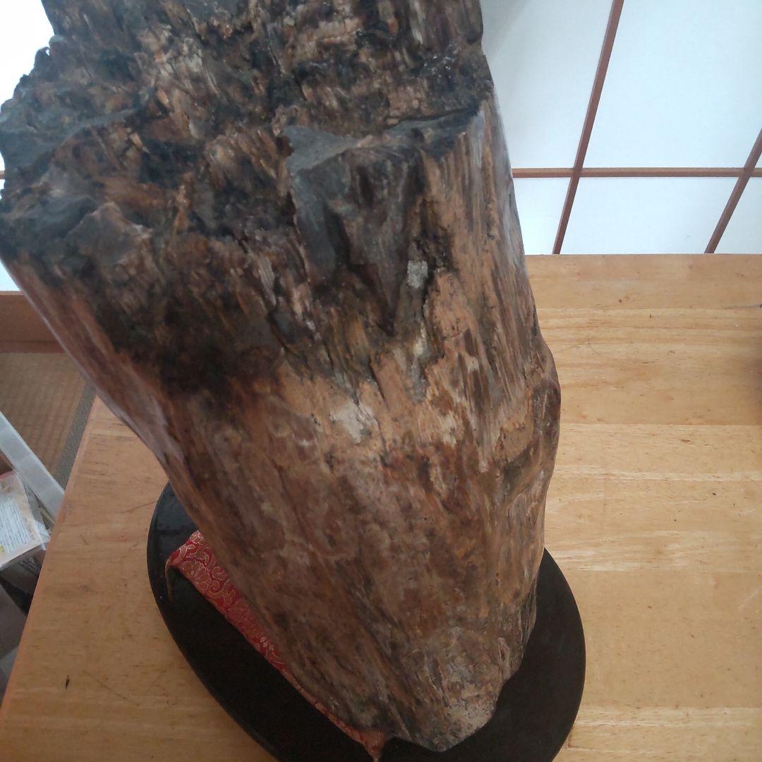 自然木の置物 高さ約30cm２３kg 見た目も美しい天然木石の珪化木です。