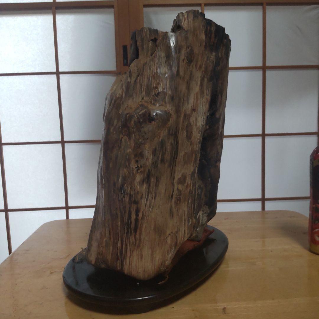 自然木の置物 高さ約30cm２３kg 見た目も美しい天然木石の珪化木です。