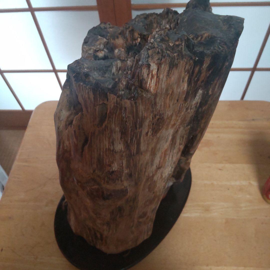自然木の置物 高さ約30cm２３kg 見た目も美しい天然木石の珪化木です。