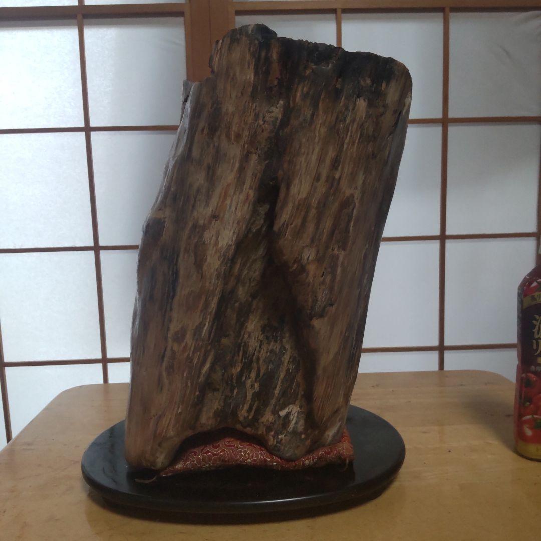 自然木の置物 高さ約30cm２３kg 見た目も美しい天然木石の珪化木です。
