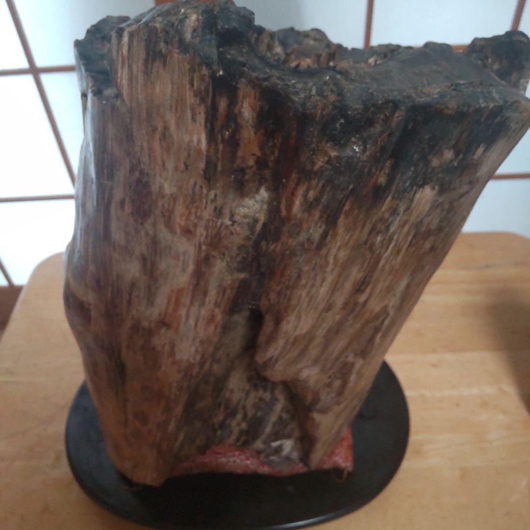 自然木の置物 高さ約30cm２３kg 見た目も美しい天然木石の珪化木です。