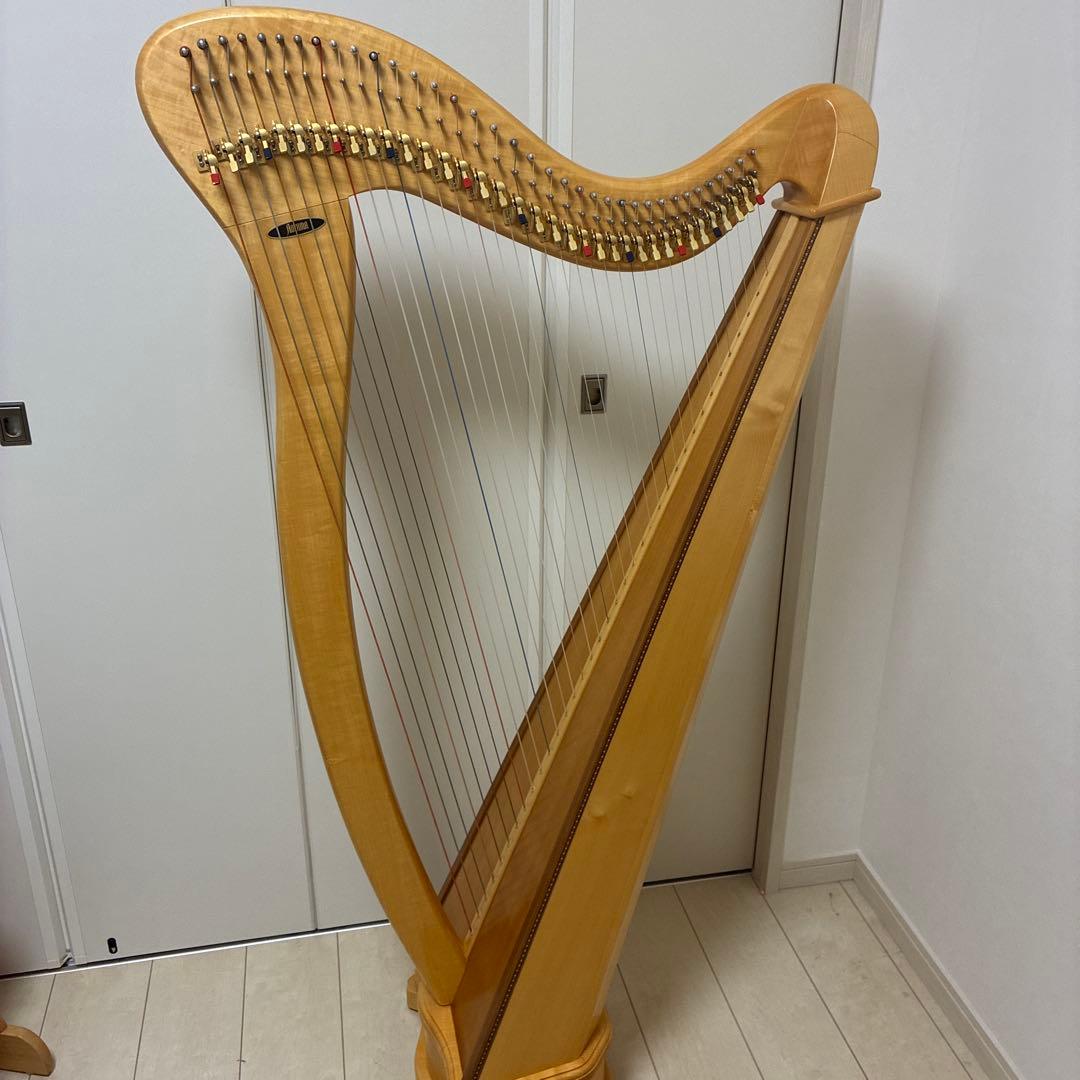 アオヤマ　ハープ　36弦　140N