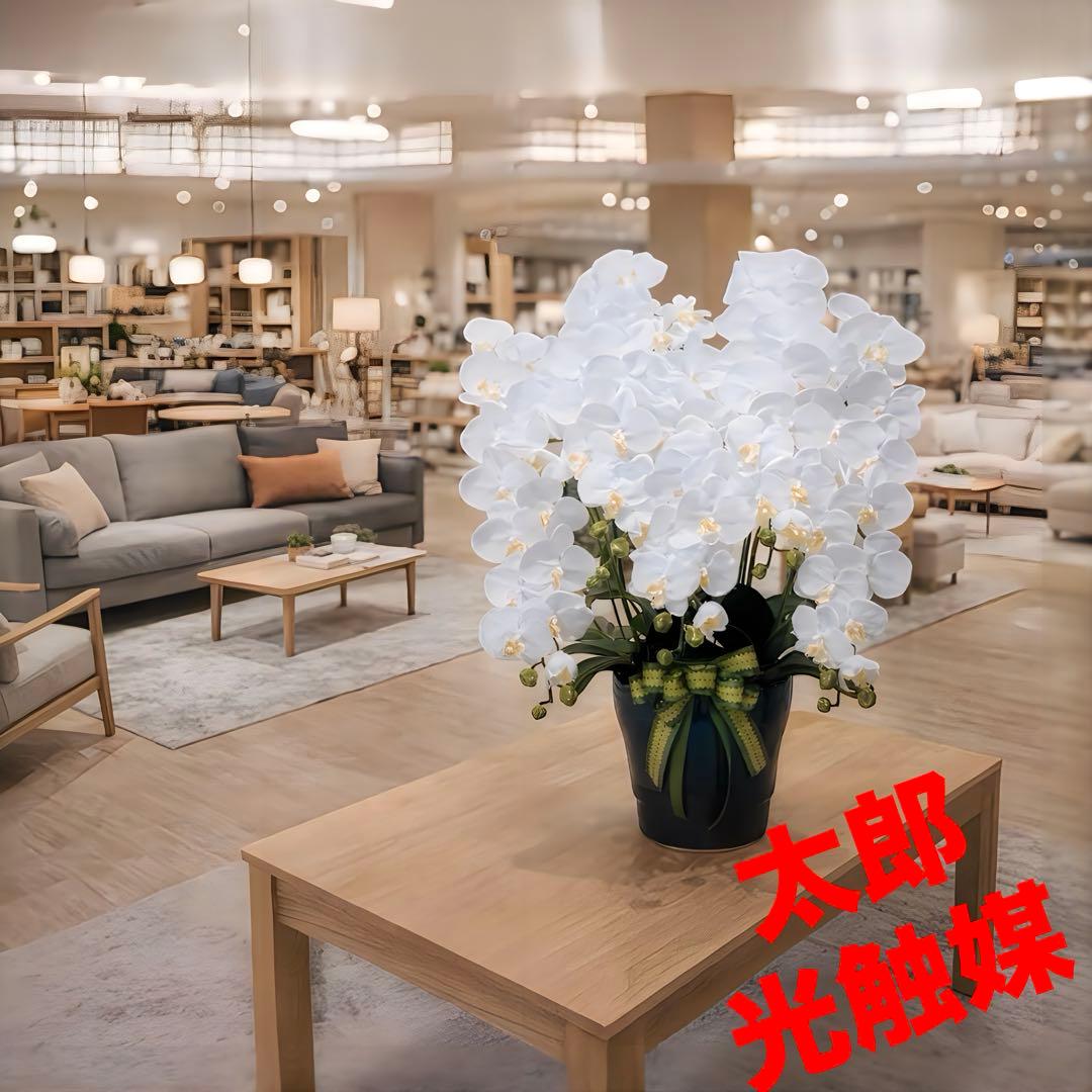 光触媒　人工観葉植物　ウォールグリーン　フェイクグリーン　ロイヤル胡蝶蘭５本立W