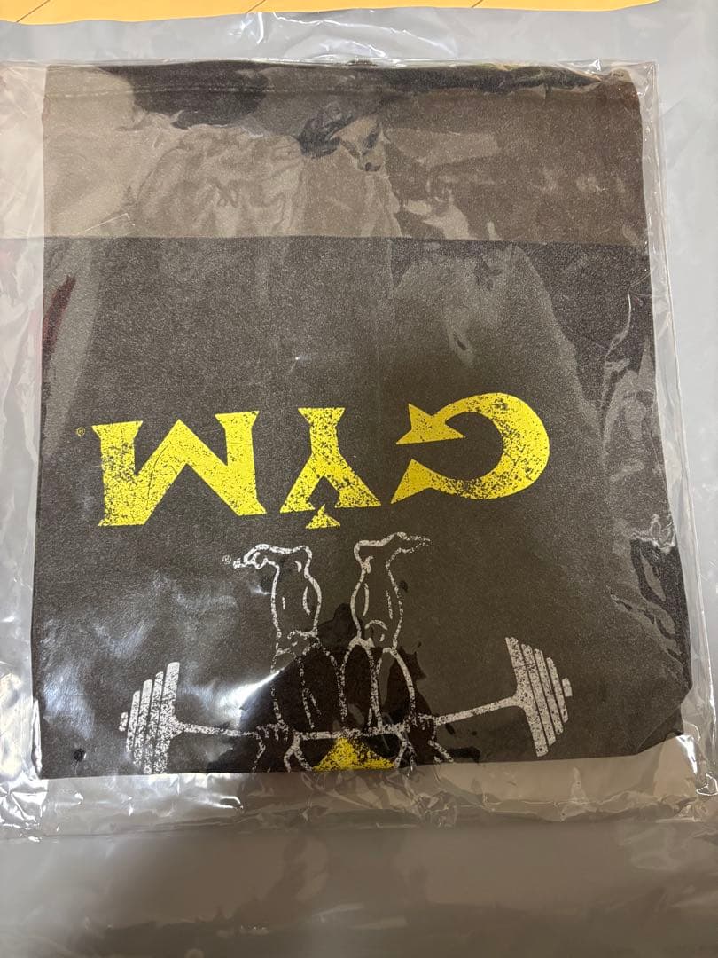 LÝFT×GOLD'S GYM VINTAGELOGO BIG T-SHIRT