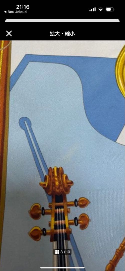 モーツァルトへの讃歌♡HERMESカレ♡