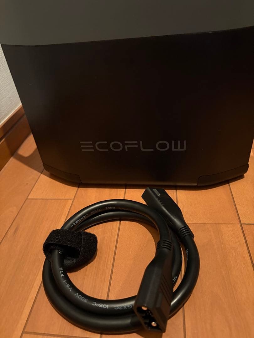 エコフローデルタ2エクストラバッテリーケース付き
