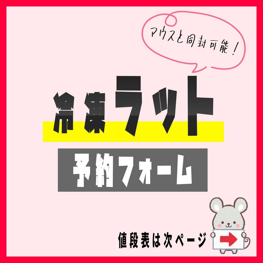 冷凍ラット 在庫確認・予約フォーム