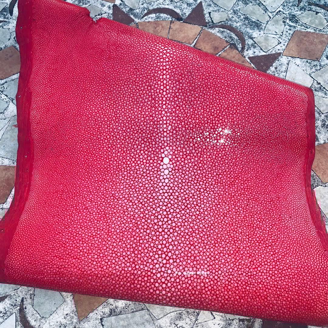 20) エイ革 鮫革 鮫皮 stingray ガルーシャ スティングレイ