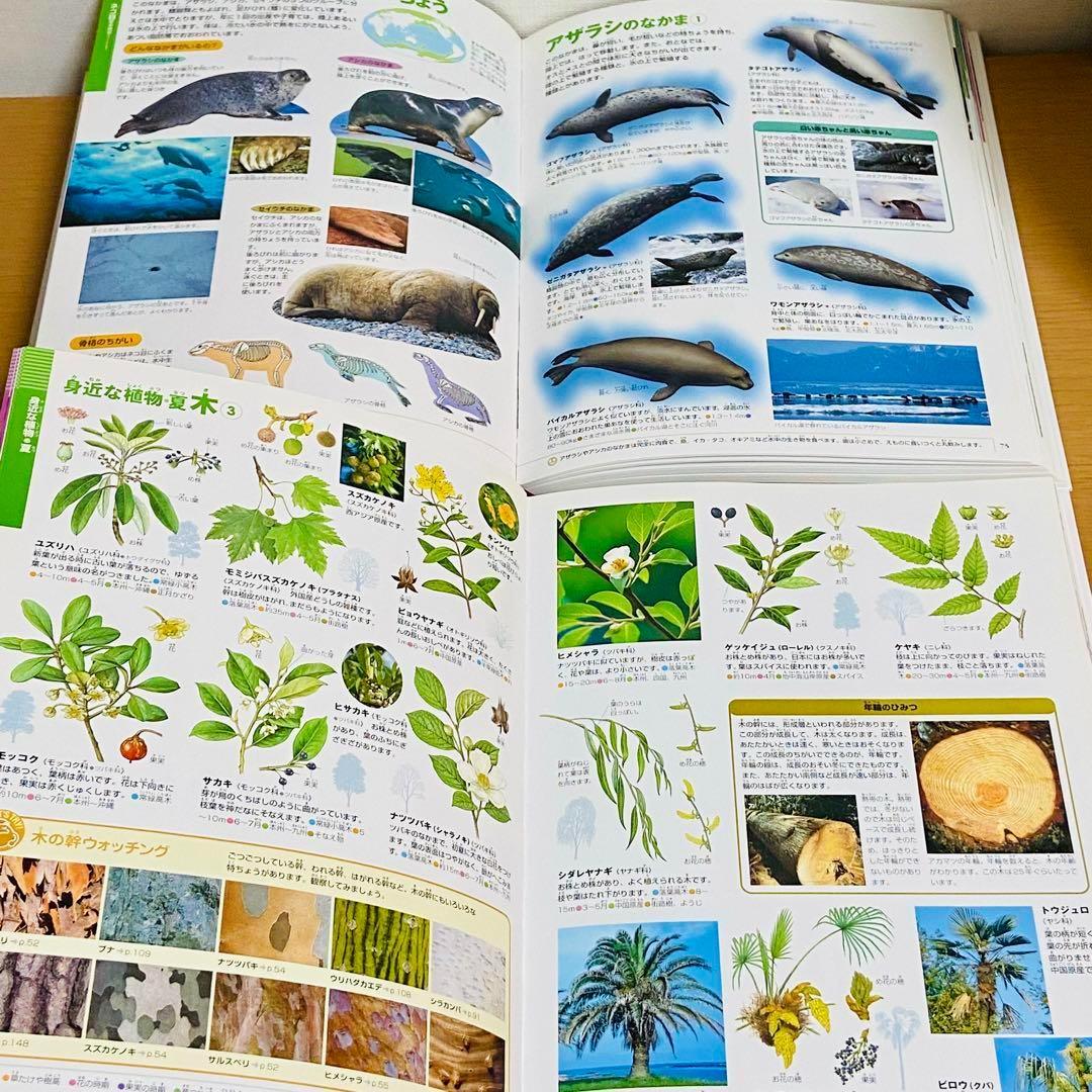 Q78カツママ　【15冊】小学館の図鑑NEO　動物　地球　科学