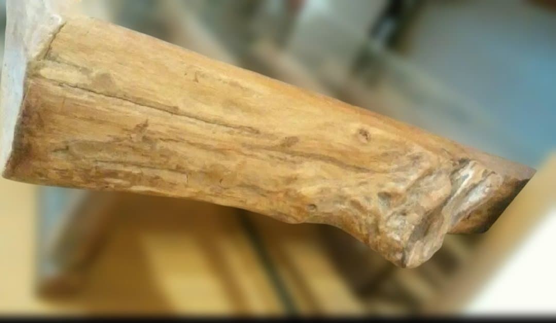 ローテーブル　木製　ガラス天板