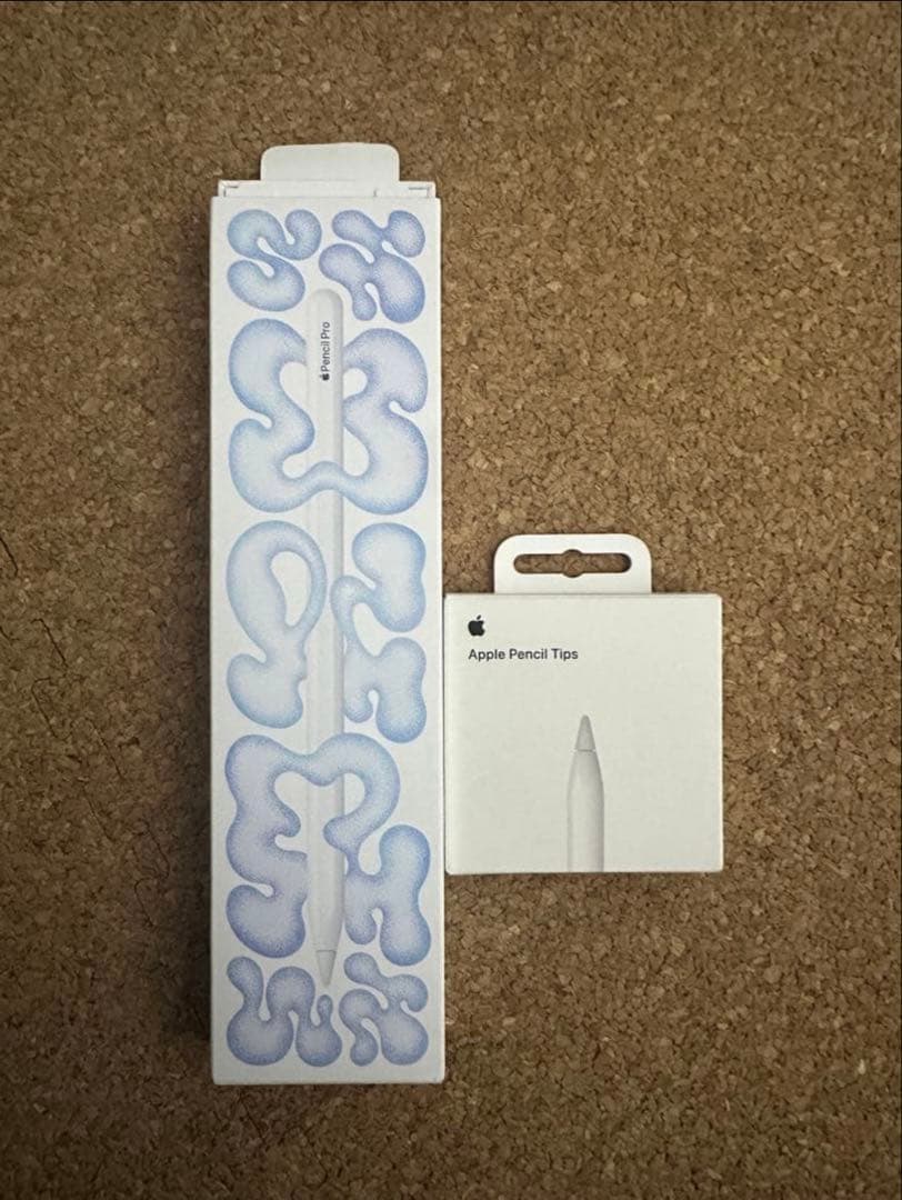 iPad Pro (M4)11インチ WiFiモデル 512GBおまけ付き