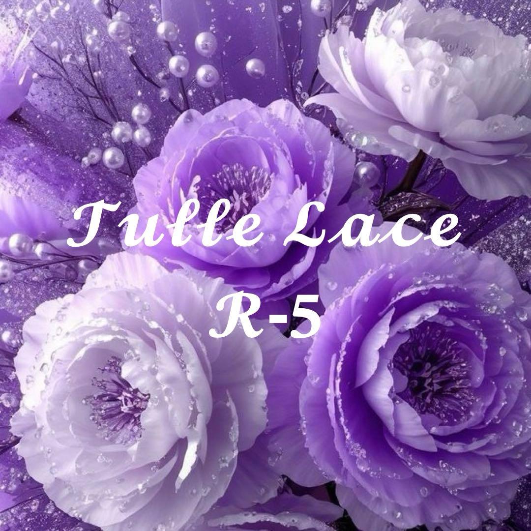 チュールレース一覧 R-5