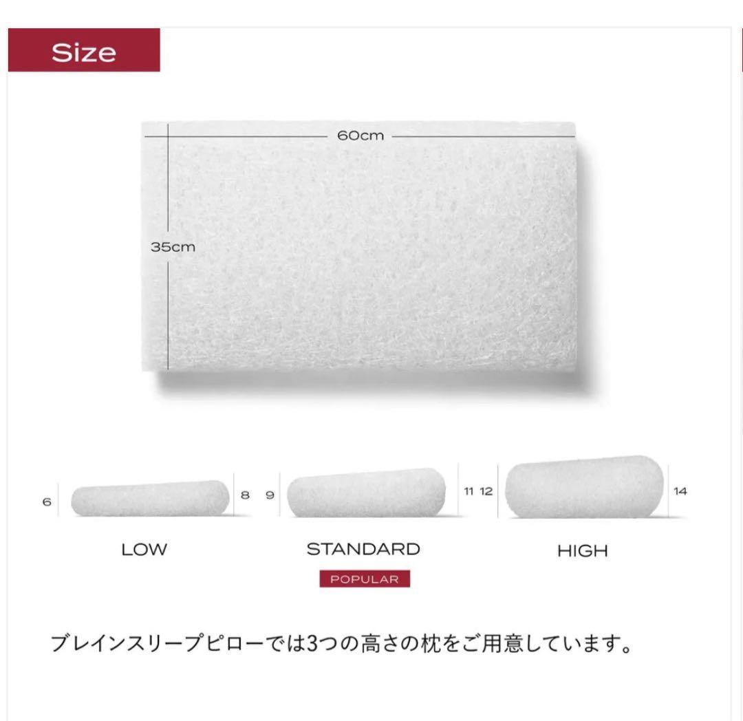 【10/15まで】ブレインスリープピロー　BRAIN SLEEP PILLOW