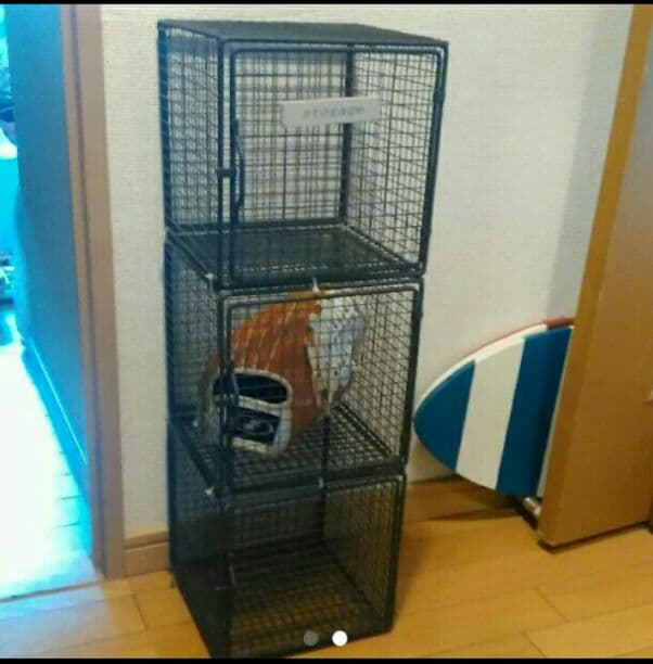 ワイヤーラック