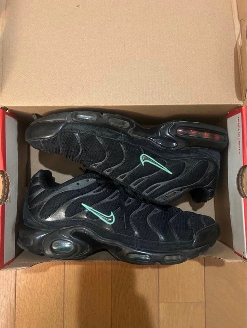 Nike Air Max Plus 箱あり　27cm