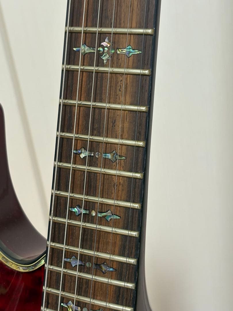 【aさん専用】SCHECTER HELLRAISER シェクター ヘルレイザー